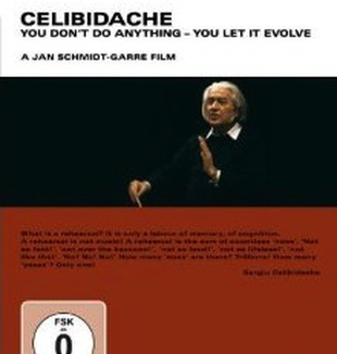 La copertina del DVD.