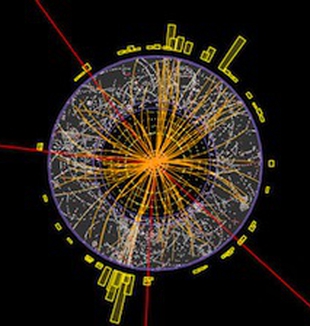L'immagine che rivela le possibili tracce (rosse) del<br>bosone di Higgs. 