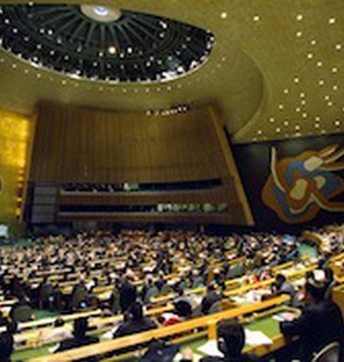 L'Assemblea Generale dell'ONU.