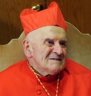 Il cardinale Julien Ries.