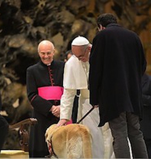 Papa Bergoglio accarezza un cane guida. 