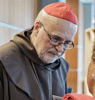 Il cardinale  Anders Arborelius